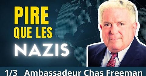 Israël ne fait même pas semblant de cacher son génocide Ambassadeur Chas Freeman