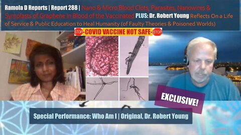 REPORT 288 | CLOTS, NANOWIRES, PARASITES, SYMPLASTS OF GRAPHENE IN VACCINATED BLOOD:DR. ROBERT YOUNG