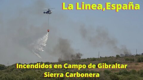 Incendidos en Campo de Gibraltar, Sierra Carbonera 29 Julio 2022