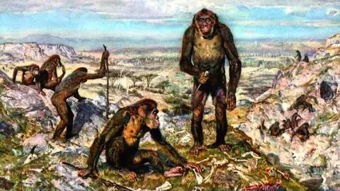 Australopithecus - Ancient Animal