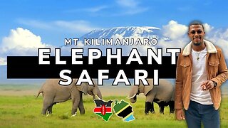 Road Trip To See Elephants In Tsavo Park Nairobi, Kenya