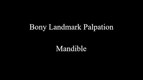 Bony Landmark Palpation - Mandible (Skull)
