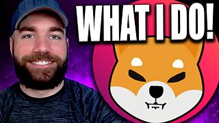 Shiba Inu - The Most Asked Question (& What I Do!)