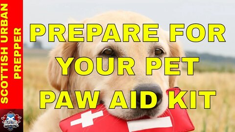 Prepping - Preparing for our Pets - Do you have a First Aid Kit for your best friend