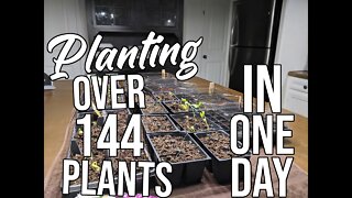 Planting over 144 Plants in one Day!/ Seed Planting Day On The Farm/ Funny incubator unboxing!