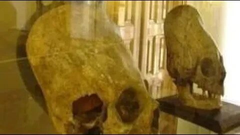 Forbidden Anthropology! Loyd Pye, Big Foot Sasquatch & hominids, Brien Forester Elongated skulls