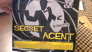 Secret Agent 500G (Black Cat)