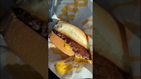 Culver’s Frozen Cocoa Shake, Butterburger with Cheese, and Pretzel Bites Food Review