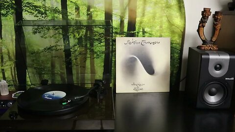 Robin Trower - Bridge of Sighs (1974) - Vinyl Rip
