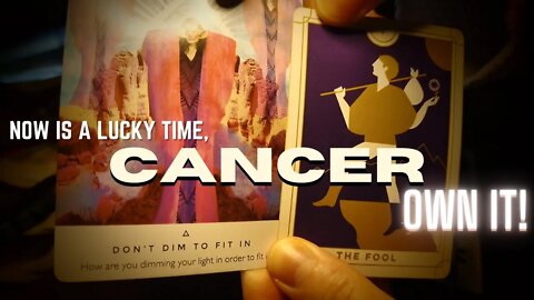 Tarot Reading for CANCER, Today You Follow Your BLISS,New Path Cancer, This Message is Meant For You