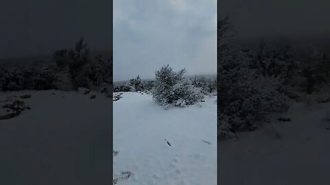 Sedona Snow Day, camping in the snow. woke up to a little bit of white stuff Feb 26th