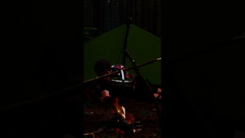 Bushcraft Tarp Shelter Setup. Solo overnight camping in the forest. Survival shelter and pot Hanger