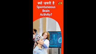 कैसे Spontaneous Brain Activity आपको जीवित रखती है *