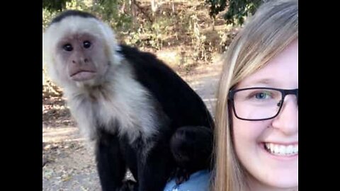 Tourist is 'attacked' by group of monkeys in Costa Rica