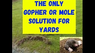 How to Get Rid of Gophers | Moles in Your Yard or Garden #viral #viralvideo #trending #home #diy