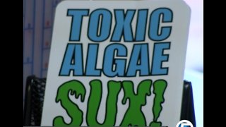 Study: New information on algae's health effect
