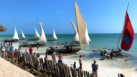 beauty and the beach. Zanzibar 2020, Tanzania