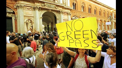 Dr. Barbara Balanzoni - Le manifestazioni e la mia assenza