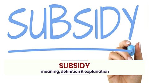 What is SUBSIDY?