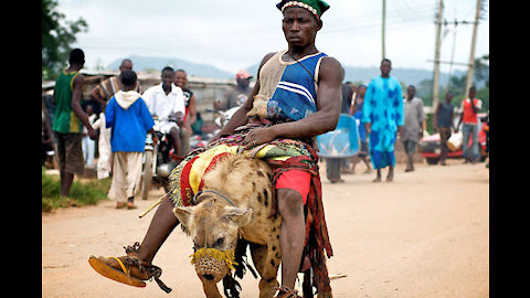 The Unbelievable World Of Nigeria's Hyena Men | Hyena Men | Real Wild