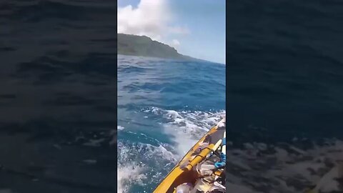 Shark Vs Kayak