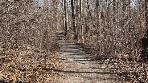 Wild Cincy: '60 Hikes within 60 Miles' author Tammy York talks trails in Greater Cincinnati