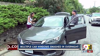 Multiple car windows smashed overnight