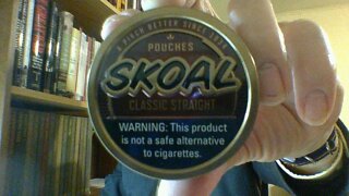 Skoal Classic Straight Pouches