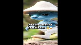 POV: You let Blue Smurf Cat hear this SONG.. 😱 #shorts #shortsvideo