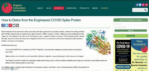 How to Detox from an Engineered Spike Protein