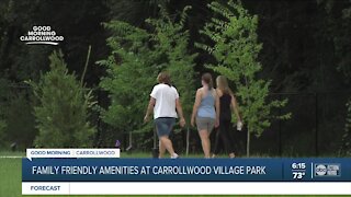 Interview with recreation coordinator at Carrollwood Village Park