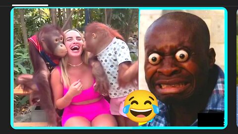 Best viral video funny😂 people being idiots try not to laugh