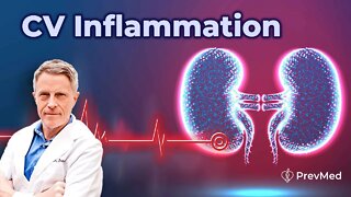 Looking for Cardiovascular Inflammation? Listen to your kidneys.