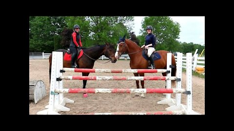 3'6 Triple Bar Oxer! Her Biggest Jump!