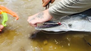 How To Catch And Release Alligator Gar 🦖