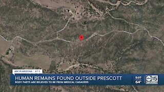 Human body parts found discarded at 2 sites in Arizona