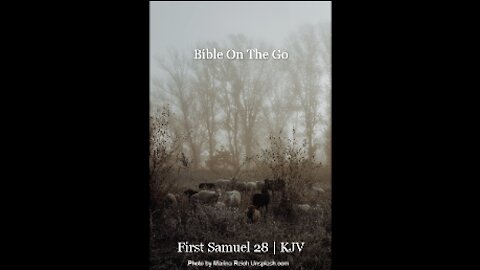 1 SAMUEL 28 | KJV