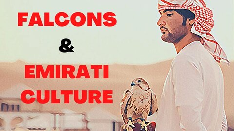 The Importance Of FALCONS To Emirati Culture