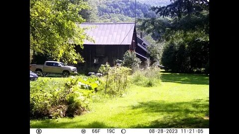 Homestead Dooryard (Sunshine!)