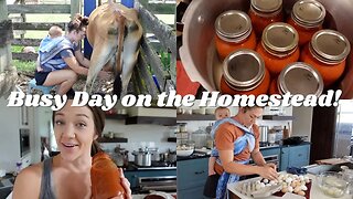 VLOG | Busy Mom GET IT ALL DONE | How to CAN GARDEN TOMATOES