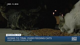 A Gilbert man facing possible jail time for feeding feral cats
