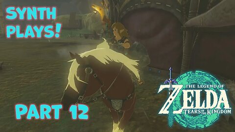 On the Road to Rito! Synth plays The Legend of Zelda: Tears of the Kingdom Part 12