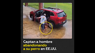 Buscan a un hombre que abandonó a su perro en la calle en EE.UU.