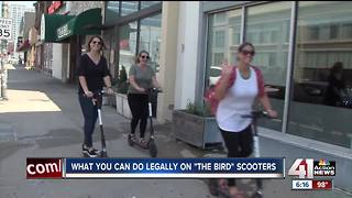 Know the rules before hopping on a Bird scooter