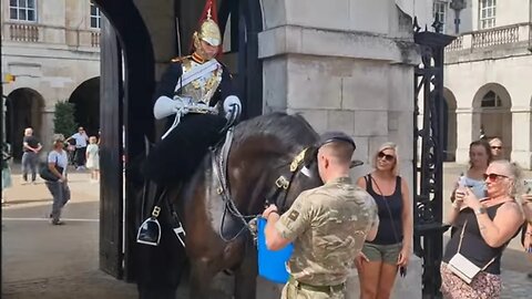 Horse given water in hot weather #horseguardsparade