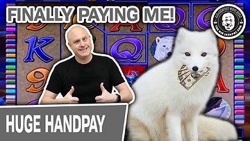 💰 HUGE HANDPAY 🦊 Arctic Fox Slot Machine FINALLY Pays Me Right! |. Raja Slots