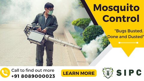 Mosquito control