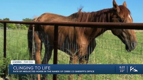 Fate of neglected horse in the hands of Creek Co. Sheriff's Office