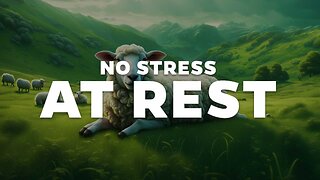 No Stress at Rest
