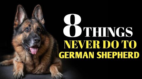 8 Things You Must Never Do to Your German Shepherd